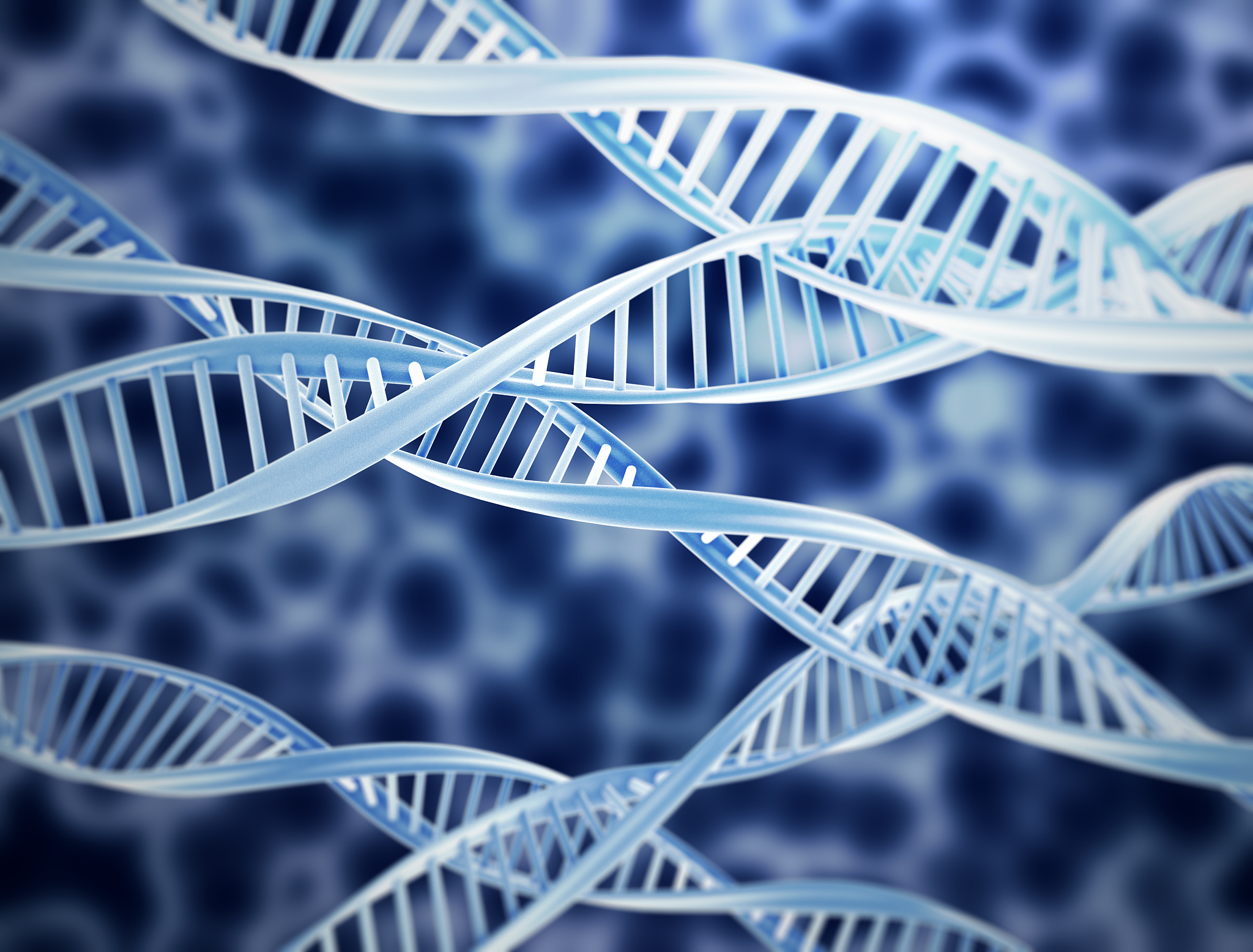  DNA/RNA酶free